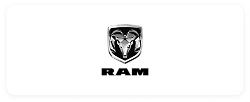 ram.png